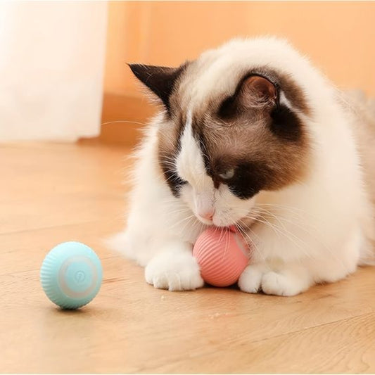 Smart Pet Teasing Ball 🐶🐱